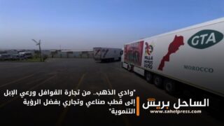 “وادي الذهب.. من تجارة القوافل ورعي الإبل إلى قطب صناعي وتجاري بفضل الرؤية التنموية”