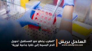 “المغرب يخطو نحو المستقبل: تحويل الدم البسيط إلى خلايا جذعية ثورية”