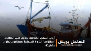 أرباب السفن الصناعية يردّون على اتهامات “استنزاف” الثروة السمكية ويطالبون بحلول مشتركة
