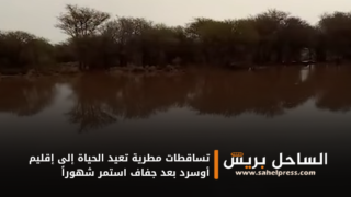 تساقطات مطرية تعيد الحياة إلى إقليم أوسرد بعد جفاف استمر شهوراً