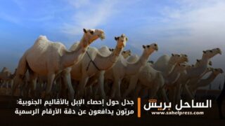 جدل حول إحصاء الإبل بالأقاليم الجنوبية: مربّون يدافعون عن دقة الأرقام الرسمية