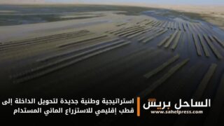 استراتيجية وطنية جديدة لتحويل الداخلة إلى قطب إقليمي للاستزراع المائي المستدام