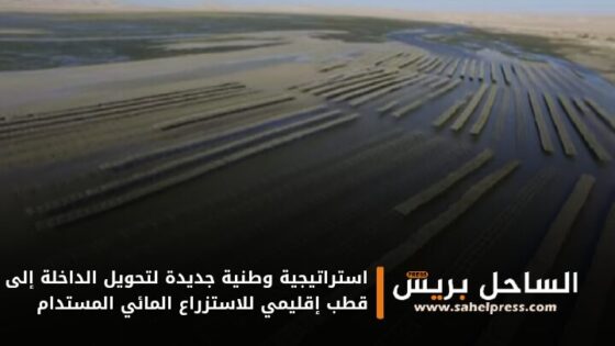 استراتيجية وطنية جديدة لتحويل الداخلة إلى قطب إقليمي للاستزراع المائي المستدام