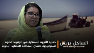 حماية الثروة السمكية في الجنوب: خطوة استراتيجية لضمان استدامة المصايد البحرية