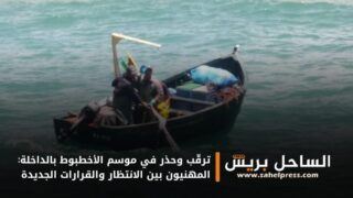 ترقّب وحذر في موسم الأخطبوط بالداخلة: المهنيون بين الانتظار والقرارات الجديدة