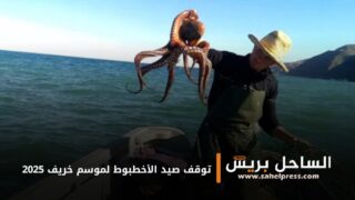 توقف صيد الأخطبوط لموسم خريف 2025