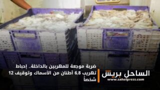 ضربة موجعة للمهربين بالداخلة.. إحباط تهريب 6,8 أطنان من الأسماك وتوقيف 12 شخصاً