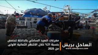 مفرغات الصيد الساحلي بالداخلة تنخفض بنسبة 21% خلال الأشهر الثمانية الأولى من 2025