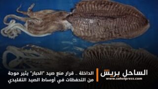 الداخلة .. قرار منع صيد “الحبار” يثير موجة من التحفظات في أوساط الصيد التقليدي