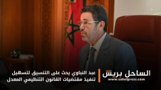 عبد النباوي يحث على التنسيق لتسهيل تنفيذ مقتضيات القانون التنظيمي المعدل