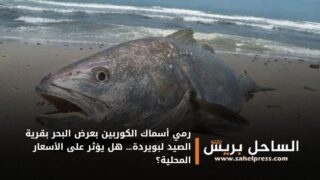 رمي أسماك الكوربين بعرض البحر بقرية الصيد لبويردة… هل يؤثر على الأسعار المحلية؟
