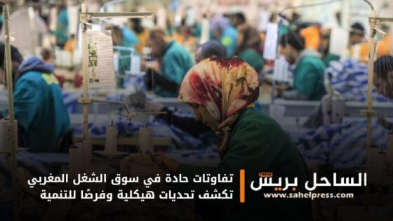 تفاوتات حادة في سوق الشغل المغربي تكشف تحديات هيكلية وفرصًا للتنمية