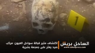 اكتشاف مثير قبالة سواحل العيون: مركب صيد يعثر على جمجمة بشرية