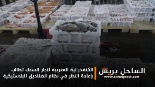 الكنفدرالية المغربية لتجار السمك تطالب بإعادة النظر في نظام الصناديق البلاستيكية