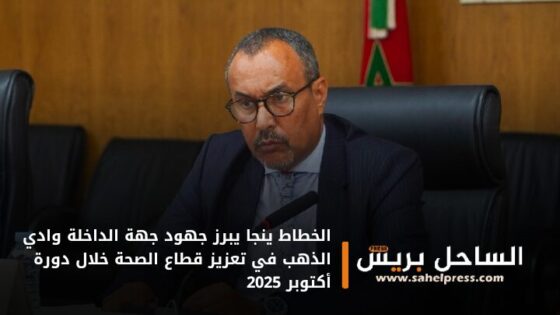 الخطاط ينجا يبرز جهود جهة الداخلة وادي الذهب في تعزيز قطاع الصحة خلال دورة أكتوبر 2025