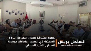 جهود مشتركة لضمان استدامة الثروة السمكية في المغرب: اجتماعات موسعة لأسطول الصيد الساحلي