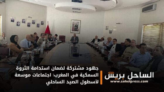جهود مشتركة لضمان استدامة الثروة السمكية في المغرب: اجتماعات موسعة لأسطول الصيد الساحلي