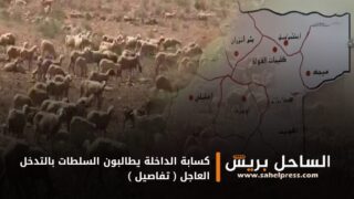 كسابة الداخلة يطالبون السلطات بالتدخل العاجل ( تفاصيل )