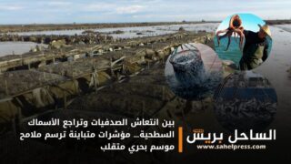 بين انتعاش الصدفيات وتراجع الأسماك السطحية… مؤشرات متباينة ترسم ملامح موسم بحري متقلب