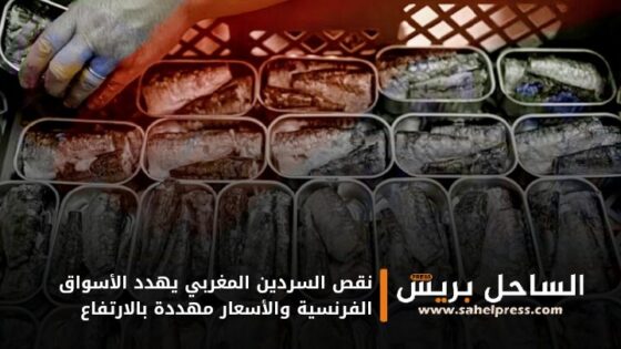 نقص السردين المغربي يهدد الأسواق الفرنسية والأسعار مهددة بالارتفاع