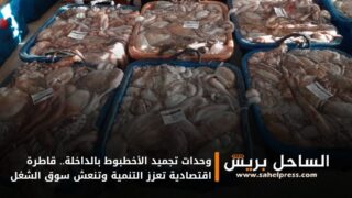 وحدات تجميد الأخطبوط بالداخلة.. قاطرة اقتصادية تعزز التنمية وتنعش سوق الشغل