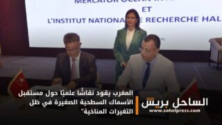 المغرب يقود نقاشًا علميًا حول مستقبل الأسماك السطحية الصغيرة في ظل التغيرات المناخية”