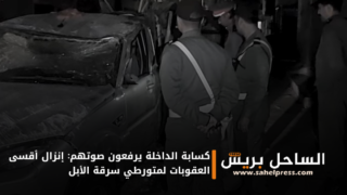 كسابة الداخلة يرفعون صوتهم: إنزال أقسى العقوبات لمتورطي سرقة الأبل