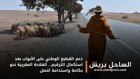 دعم القطيع الوطني على الأبواب بعد استكمال الترقيم… الفلاحة المغربية نحو حكامة واستدامة أفضل