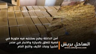 أمن الداخلة يطيح بمشتبه فيه متورط في قضية تتعلق بالحيازة والاتجار في مخدر الشيرا ونبات الكيف والتبغ الخام