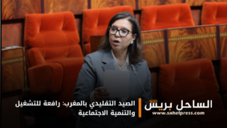 الصيد التقليدي بالمغرب: رافعة للتشغيل والتنمية الاجتماعية