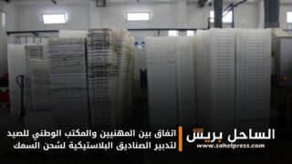 اتفاق بين المهنيين والمكتب الوطني للصيد لتدبير الصناديق البلاستيكية لشحن السمك