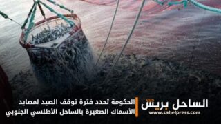 الحكومة تحدد فترة توقف الصيد لمصايد الأسماك الصغيرة بالساحل الأطلسي الجنوبي