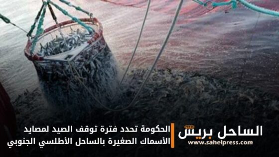 الحكومة تحدد فترة توقف الصيد لمصايد الأسماك الصغيرة بالساحل الأطلسي الجنوبي