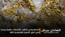 الداخلة وادي الذهب: اكتشافات ذهبية واعدة تفتح آفاق التنمية الاقتصادية 2025