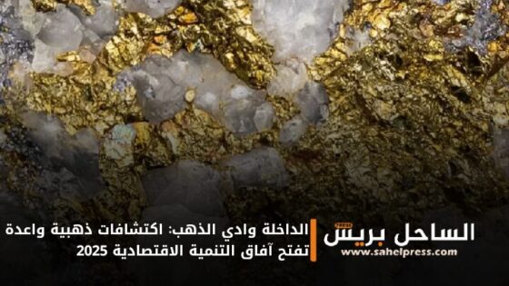 الداخلة وادي الذهب: اكتشافات ذهبية واعدة تفتح آفاق التنمية الاقتصادية 2025