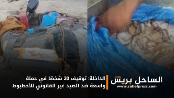 الداخلة: توقيف 20 شخصًا في حملة واسعة ضد الصيد غير القانوني للأخطبوط
