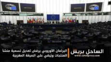 البرلمان الأوروبي يرفض تعديل تسمية منشأ المنتجات ويُبقي على الصيغة المغربية