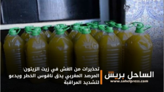 تحذيرات من الغش في زيت الزيتون: المرصد المغربي يدق ناقوس الخطر ويدعو لتشديد المراقبة