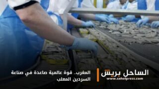 المغرب.. قوة عالمية صاعدة في صناعة السردين المعلب