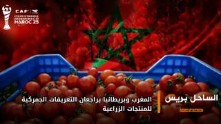 المغرب وبريطانيا يراجعان التعريفات الجمركية للمنتجات الزراعية