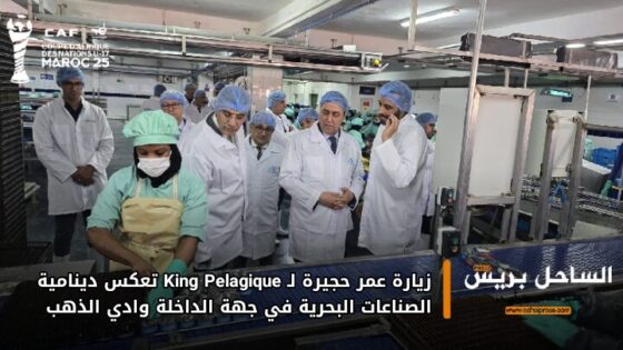 زيارة عمر حجيرة لـ King Pelagique تعكس دينامية الصناعات البحرية في جهة الداخلة وادي الذهب