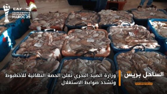 وزارة الصيد البحري تعلن الحصة النهائية للأخطبوط وتشدد ضوابط الاستغلال