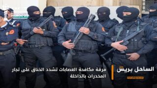 فرقة مكافحة العصابات تشدد الخناق على تجار المخدرات بالداخلة