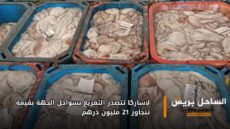 لاساركا تتصدر التفريغ بسواحل الجهة بقيمة تتجاوز 21 مليون درهم