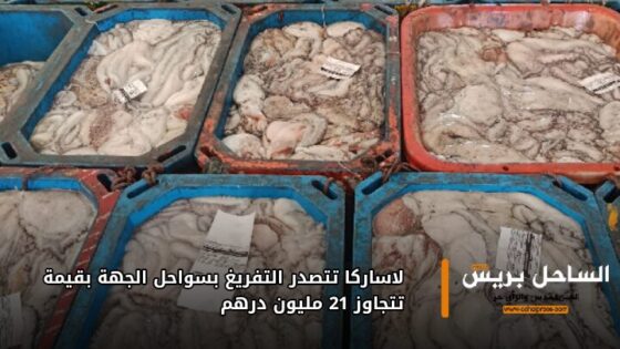 لاساركا تتصدر التفريغ بسواحل الجهة بقيمة تتجاوز 21 مليون درهم