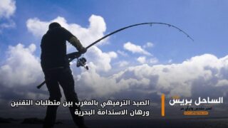 الصيد الترفيهي بالمغرب بين متطلبات التقنين ورهان الاستدامة البحرية