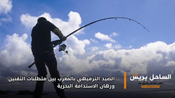 الصيد الترفيهي بالمغرب بين متطلبات التقنين ورهان الاستدامة البحرية