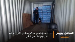 تنسيق أمني محكم يجهض تهريب مئات الكيلوغرامات من الشيرا