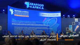 معرض SEAFOOD4AFRICA يعزز مكانة الداخلة كقطب للاقتصاد الأزرق