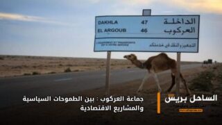 جماعة العركوب: بين الطموحات السياسية والمشاريع الاقتصادية
